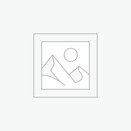 عنصر نائب Placeholder